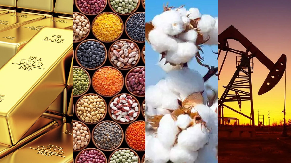 raw materials broker services (Prueba)